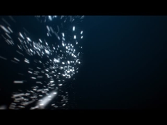 Edelstahl 316 LED Unterwasserlicht Stativ RGB Spotlicht CE RoHS zertifiziert