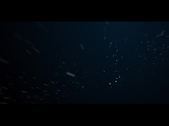 IP66 Außenlicht 10W COB Baumgarten Spike-Beleuchtung