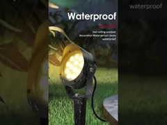 High-Precision-Qualität Ring Led Outdoor Garden Light Show mit dem besten Preis