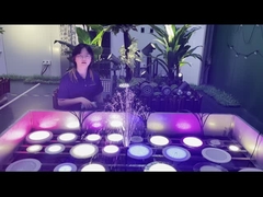 Pool-Licht LED PAR56