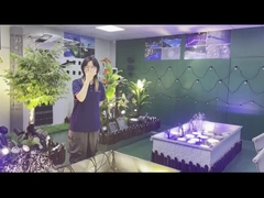 Unterwasserbrunnenlicht IP68 18W 36W 54W Warm Weiß Blau RGB Edelstahl 316L