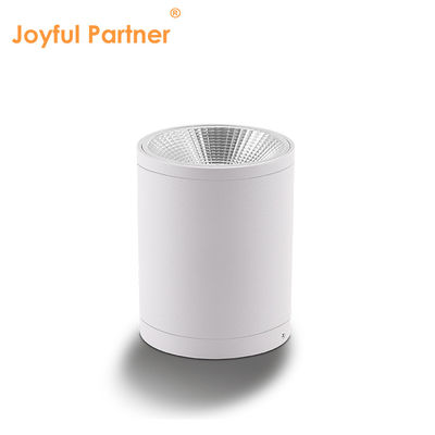 CE IP65 Deckenleuchte Oberfläche montierte Unterlicht wasserdicht Spotlicht Cree Cob LED mit rundem Design