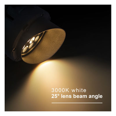 Hohe Helligkeit Runde Außen-RGB-LED-Strahler IP65 LED-Landschaftsbaum