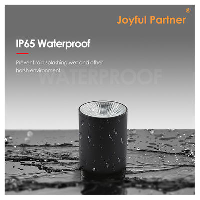 CE IP65 Deckenleuchte Oberfläche montierte Unterlicht wasserdicht Spotlicht Cree Cob LED mit rundem Design