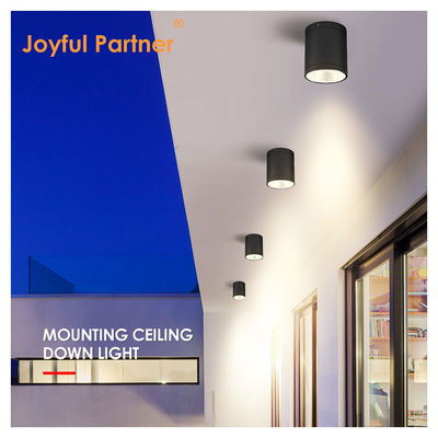 CE IP65 Deckenleuchte Oberfläche montierte Unterlicht wasserdicht Spotlicht Cree Cob LED mit rundem Design