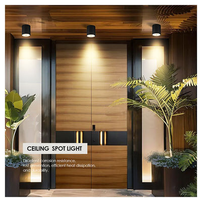 12W COB LED Downlight Zylinder Wand Montage Licht Kompaktes Design Oberflächenfix für Außenanwendungen