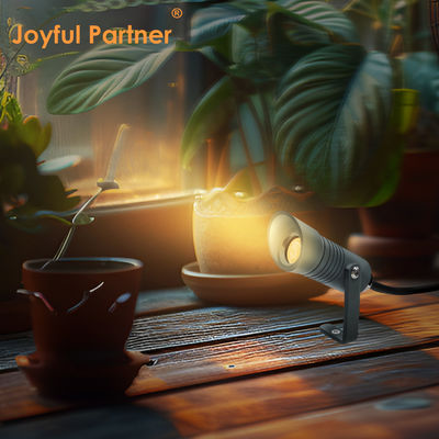 Outdoor-Landschafts-Wandfluter 1W IP65 DC24V Garten-Spotlights mit stilvollem Design