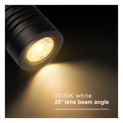 LED-Gartenleuchte IP65 14W COB DC24V LED DIA68MM 2700K Warmweiß Anti Glare Hood Für Gartenbeleuchtung