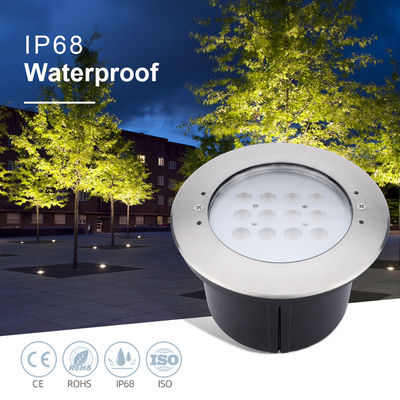 Fabrik-direkte IP68 wasserdicht Edelstahl 316L Unterwasserlampen 12W LED